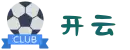 开云 (中文)官方网站-Kering